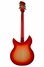 Rickenbacker 1993/12 Plus, Fireglo: Full Instrument - Rear