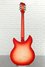 Rickenbacker 1993/12 Plus, Fireglo: Full Instrument - Rear