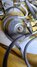 Rickenbacker 4001/4 , Mapleglo: Free image