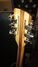 Rickenbacker 370/12 , Mapleglo: Headstock - Rear