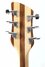 Rickenbacker 330/6 , Mapleglo: Headstock - Rear