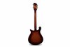 Rickenbacker 660/12 TP, Fireglo: Full Instrument - Rear