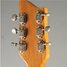 Rickenbacker 600/6 Combo, Blonde: Headstock - Rear