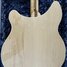 Rickenbacker 370/12 , Mapleglo: Body - Rear