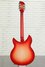 Rickenbacker 1993/12 Plus, Fireglo: Full Instrument - Rear
