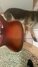 Rickenbacker 425/6 Boyd Vibrato, Fireglo: Body - Rear