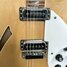 Rickenbacker 360/6 , Mapleglo: Free image