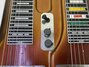 Rickenbacker DW16/2 X 8 Console Steel, Copper: Free image
