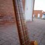 Rickenbacker 4003/4 S, Mapleglo: Neck - Front