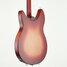 Rickenbacker 330/6 , Fireglo: Body - Rear