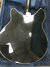 Rickenbacker 370/12 , Jetglo: Body - Rear