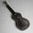 Rickenbacker B/6 LapSteel, Black: Full Instrument - Rear