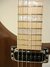 Rickenbacker 360/6 , Natural Walnut: Free image