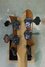 Rickenbacker 4003/4 , Mapleglo: Headstock - Rear