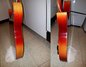 Dec 1959 Rickenbacker 335/6 Capri, Fireglo: Close up - Free