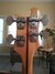 Rickenbacker 4001/4 , Mapleglo: Headstock - Rear