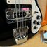 Rickenbacker 4003/4 , Jetglo: Close up - Free2