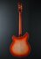 Rickenbacker 360/6 , Fireglo: Full Instrument - Rear