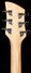 Rickenbacker 620/6 , Mapleglo: Headstock - Rear