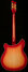 Rickenbacker 360/6 , Fireglo: Full Instrument - Rear