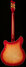 Rickenbacker 360/6 , Fireglo: Full Instrument - Rear