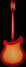 Rickenbacker 360/6 , Fireglo: Full Instrument - Rear