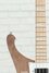 Rickenbacker 4003/4 , Natural Walnut: Neck - Front
