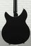 Rickenbacker 1993/12 Plus, Jetglo: Body - Rear