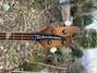 Feb 1975 Rickenbacker 4001/4 , Autumnglo: Headstock