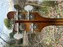 Rickenbacker 4001/4 , Autumnglo: Headstock - Rear