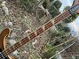 Rickenbacker 4001/4 , Autumnglo: Neck - Front
