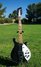 Rickenbacker 620/6 , Jetglo: Full Instrument - Front