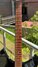 Rickenbacker 330/12 , Jetglo: Neck - Front