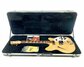 Rickenbacker 360/6 , Mapleglo: Free image2