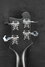 Rickenbacker 4003/4 , Matte Black: Headstock - Rear