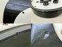 Rickenbacker 450/6 , Black: Free image