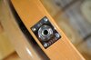 Rickenbacker 330/6 , Mapleglo: Close up - Free