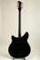 Rickenbacker 360/6 Mod, Jetglo: Full Instrument - Rear