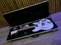 Rickenbacker 360/6 CB VP, Snowglo: Free image