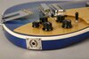 Rickenbacker 660/6 , Blueburst: Close up - Free