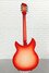 Rickenbacker 1993/12 Plus, Fireglo: Full Instrument - Rear