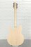 Rickenbacker 1993/12 Plus, Mapleglo: Full Instrument - Rear