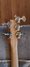 Rickenbacker 4003/5 S, Natural Walnut: Headstock - Rear