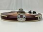Rickenbacker 360/12 V64, Fireglo: Close up - Free2