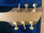 Rickenbacker 650/6 Sierra, Natural Walnut: Headstock - Rear