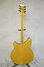 Rickenbacker 360/6 BH BT, Mapleglo: Full Instrument - Rear