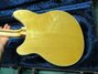 Rickenbacker 370/12 , Mapleglo: Body - Rear