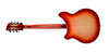 Rickenbacker 360/12 , Fireglo: Full Instrument - Rear