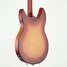 Rickenbacker 330/6 , Fireglo: Body - Rear