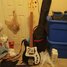 Rickenbacker 3001/4 Mod, Jetglo: Free image2
